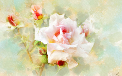 980542 (a): :2880x1800